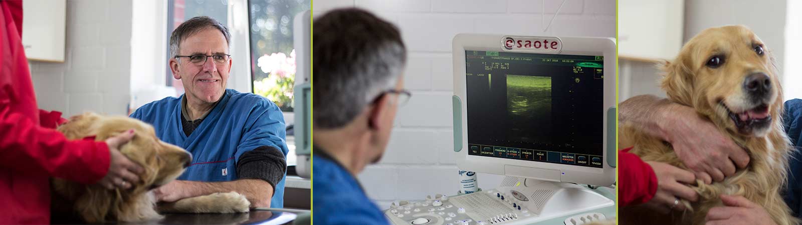 Sonografie, Ultraschalluntersuchung für Tiere